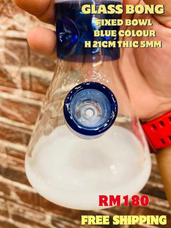 GLASS BONG FIXED BOWL 21CM