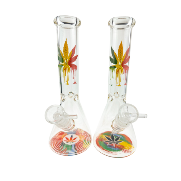 img_8405 GLASS BONG REGGAE LEAF BEAKER 25CM